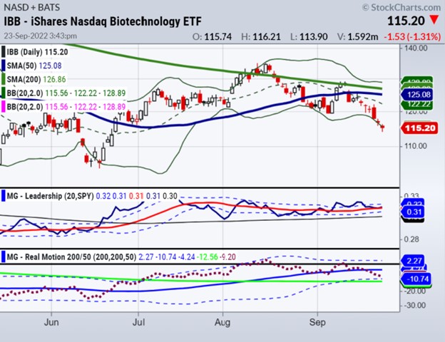  Weekend Daily: The Biotech Sector Should Come Back First