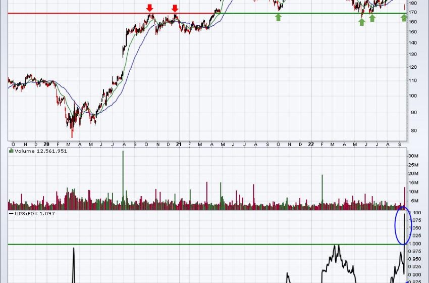  Do Earnings Warnings Really Matter?