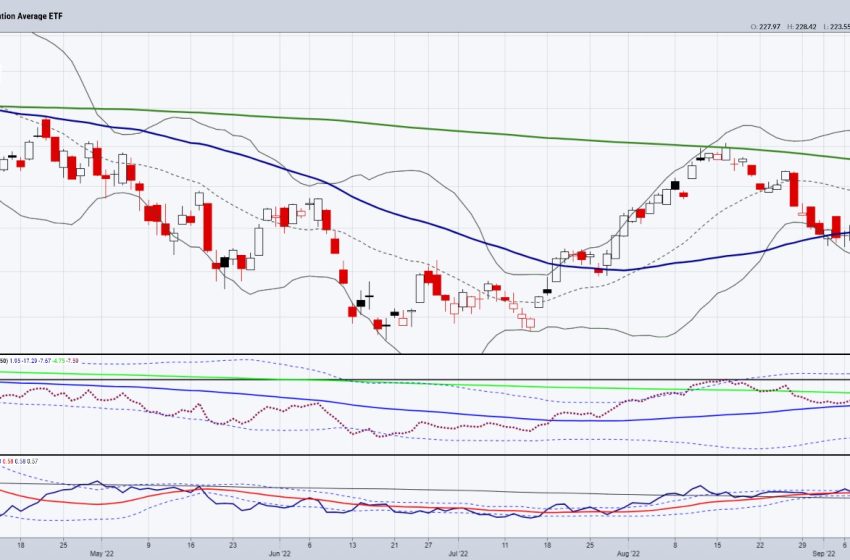  Market Stabilizes While Transports Hold Their Breath