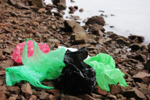  ‘A big moment’: Wales expected to ban single-use plastic carrier bags