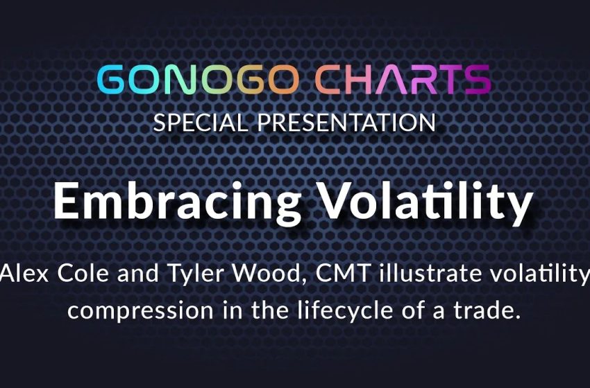  GoNoGo Special: Embracing Volatility