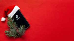  Get on a billion wish lists this holiday season with TikTok for Business