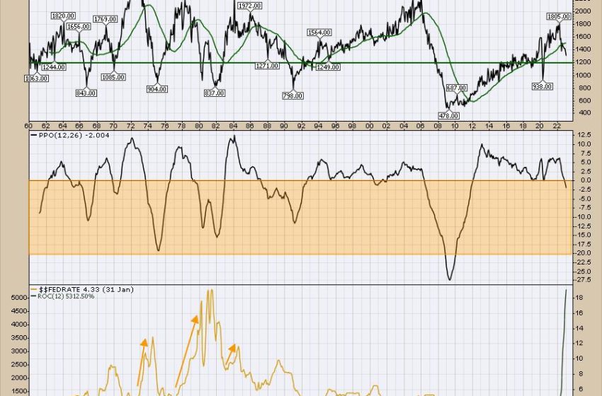  Hammer And Nails: Homebuilders