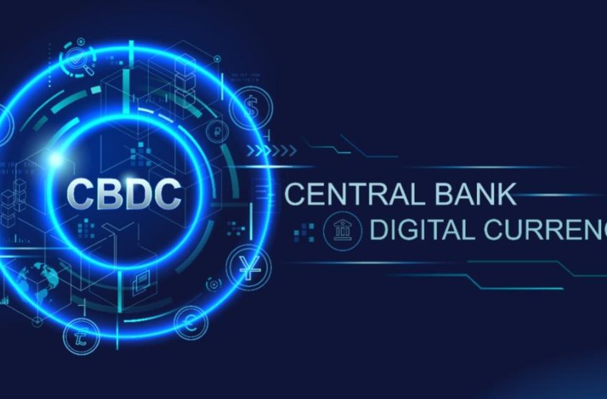  It’s Never Too Late to Begin Protesting against the Proposed Central Bank Digital Currency