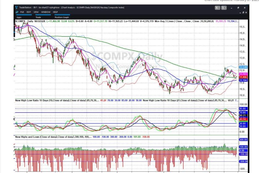  NASDAQ New High/New Low Ratio and Risk