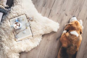  How to Care for Real Sheepskin Rugs