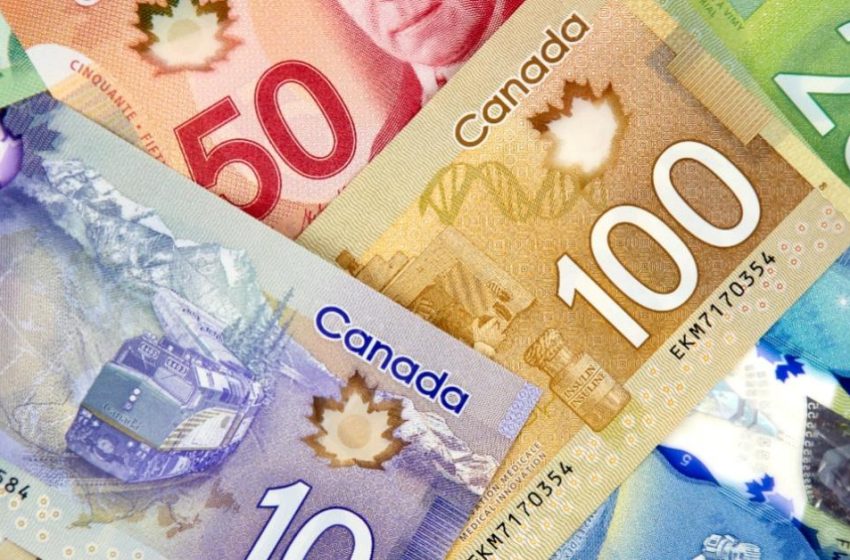  Canada’s Legal Counterfeiting Ring Is a Product of Progressive Democracy