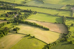  Investors descend on safety greener pastures driving value of arable farmland to record high
