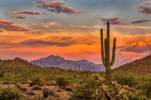  Moving To Arizona? Pay Attention To These Useful Tips