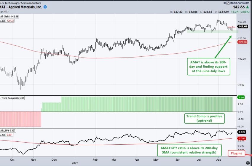  A Nasdaq 100 Stock Showing Relative Strength in August