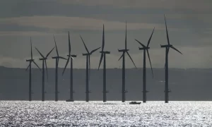  No bids for offshore wind in government auction dealing critical blow to UK strategy