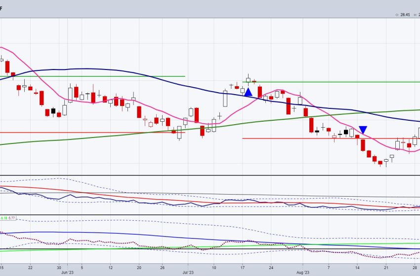  Finding and Trading Instrument Bottoms