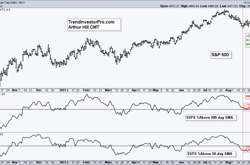  Breadth is Not Keeping Pace with the Bounce