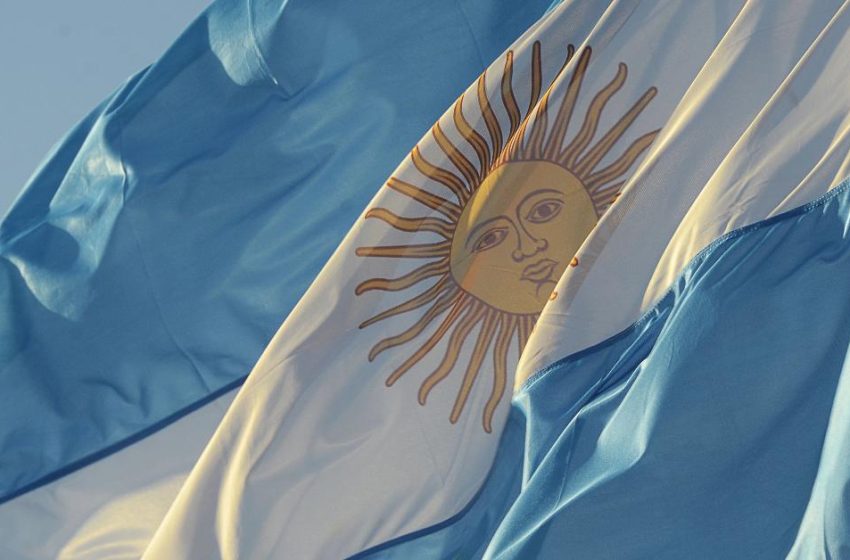  Will Dollarization Work in Argentina?