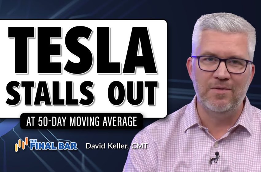  Typical Tesla STALLS Out at 50-Day Moving Average