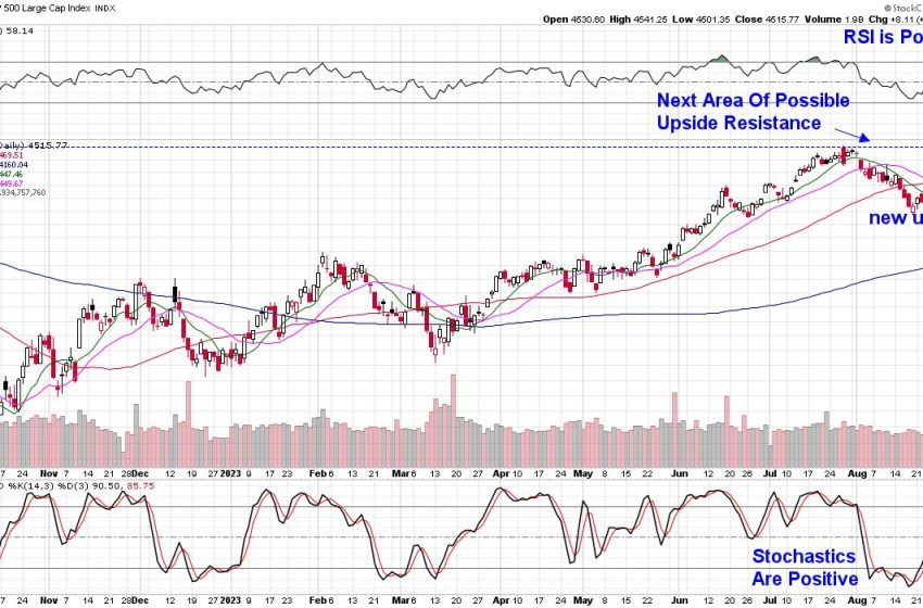  Plenty of Setups Emerge as Bulls Regain Control