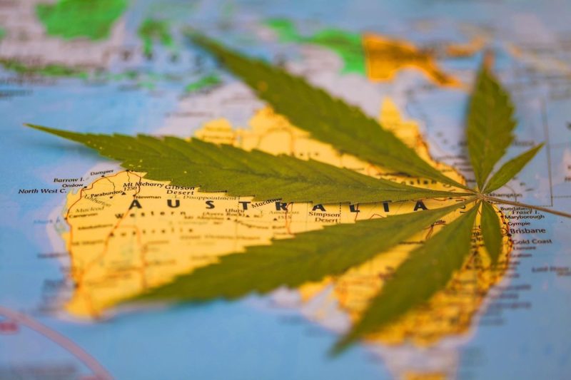  Unveiling Australia’s Cannabis Landscape: A State-by-State Exploration