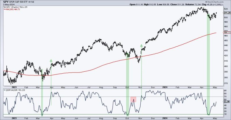  Is This a Dead-Cat Bounce or a Legitimate Recovery?