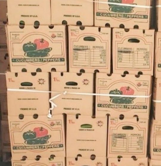  Alert: Salmonella Recall for Cucumbers Shipped to 14 States