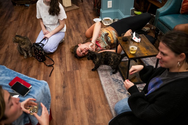  Controversy Erupts at Cat Cafe Over Vance’s ‘Childless Cat Ladies’ Comment