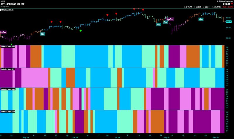  Playing Matchmaker with Market Health: Are Equities Hooked or Flopped?