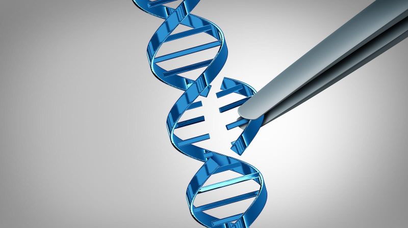 Is a Bold Rotation Brewing in Healthcare and Biotech? Here’s What to Watch Now