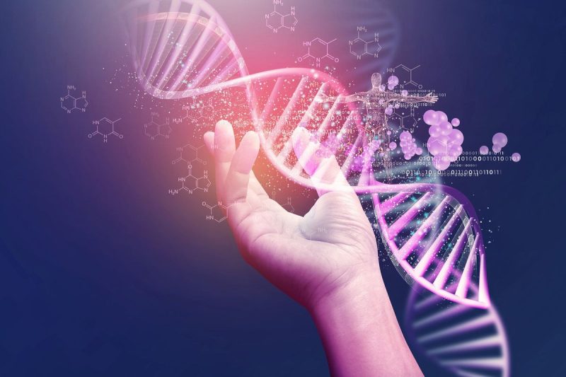  How to Invest in Gene Stocks and ETFs