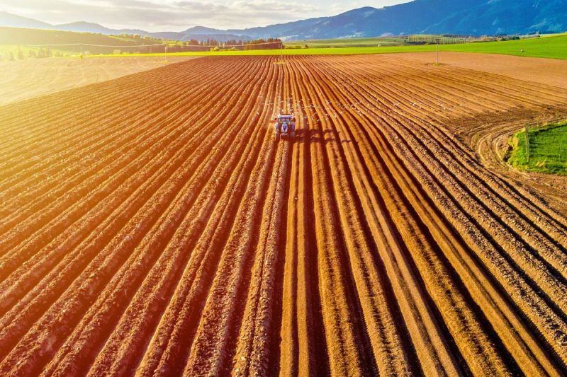 Agriculture Market Update: Q2 2025 in Review