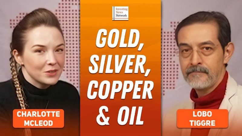  Lobo Tiggre: Gold, Silver Hit Record Highs, Next “Buy Low” Sector